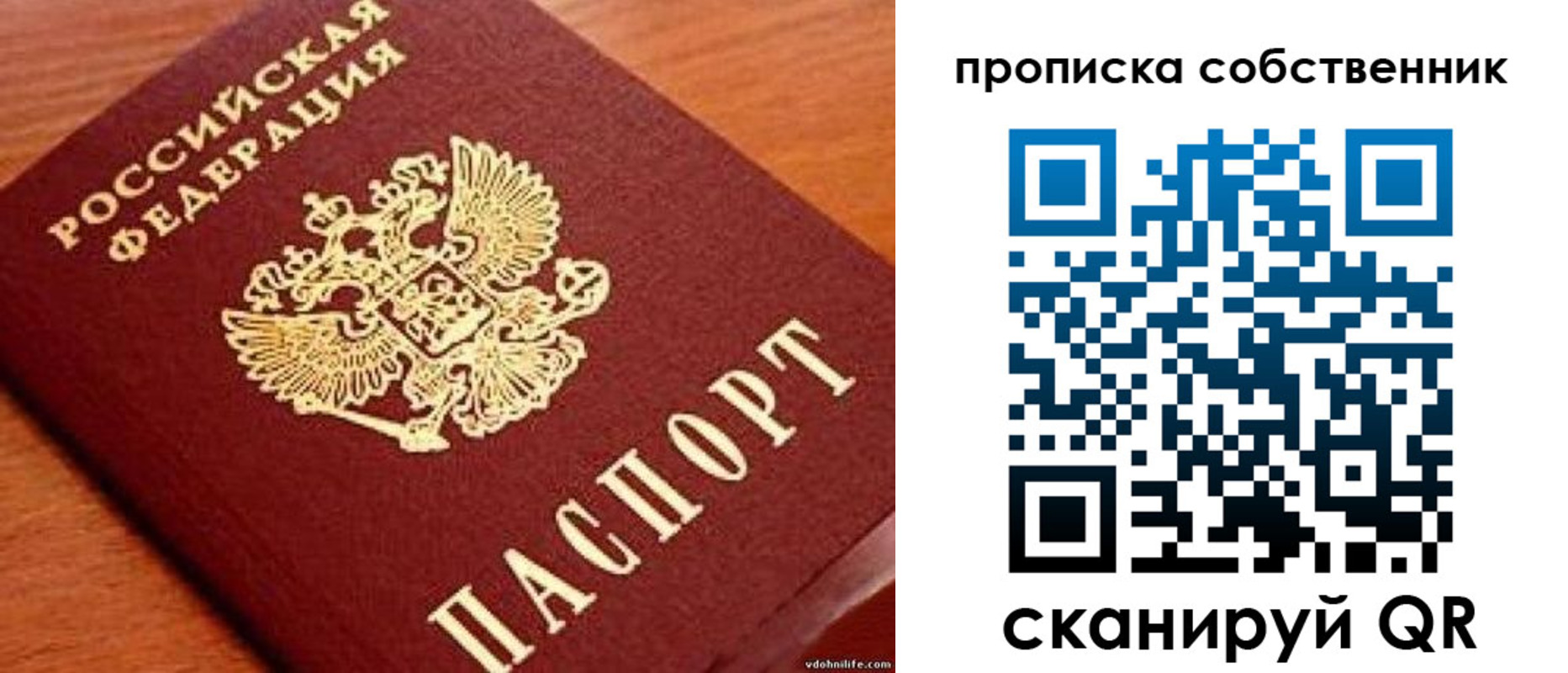 регистрация в Петропавловске-Камчатском